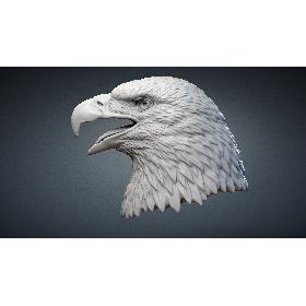 3D Bald Eagle Head Sculpture model